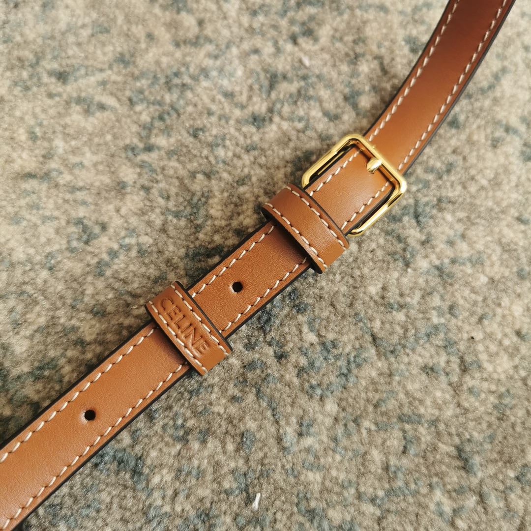 Ce1i*e Triomphe Shoulder Bag In Canvas Brown/ Light Yellow/White For Women‎ 8in/20cm 194142CUZ.04LU
