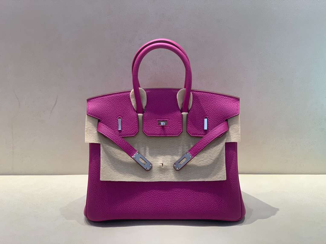 H**me5 Birkin 25 Beton Togo Purple For Women 25cm / 9.8in